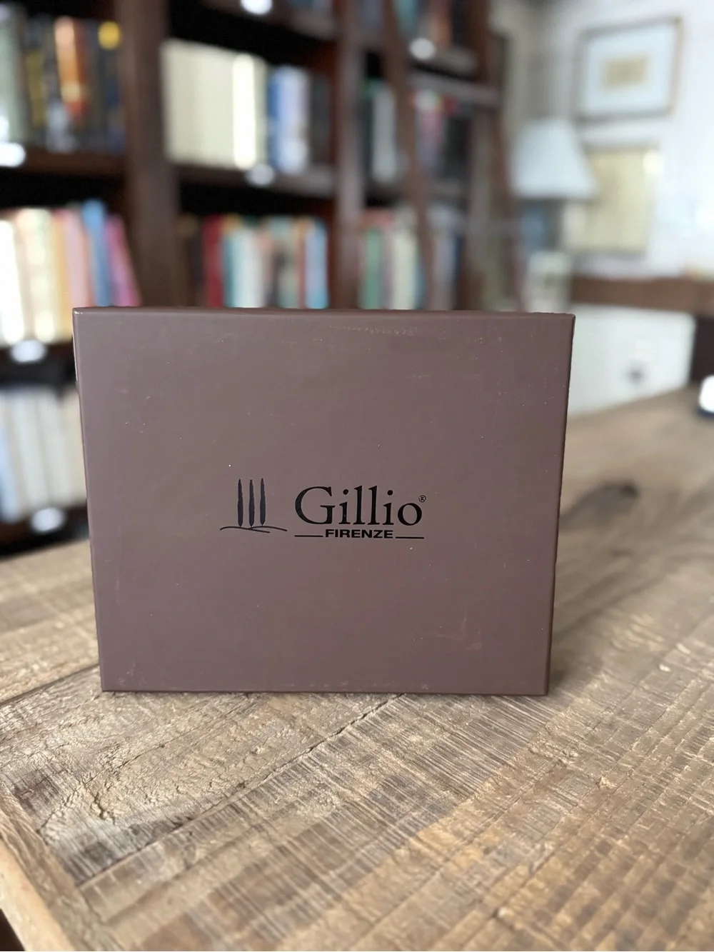 Gillio Medium Mia Cara Epoca leather Planner in Dark Brown (RARE 2016)